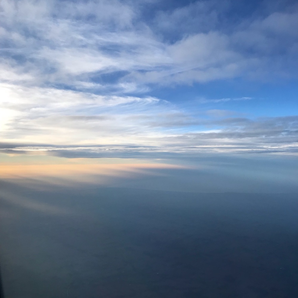 Meet your Posher, Bella